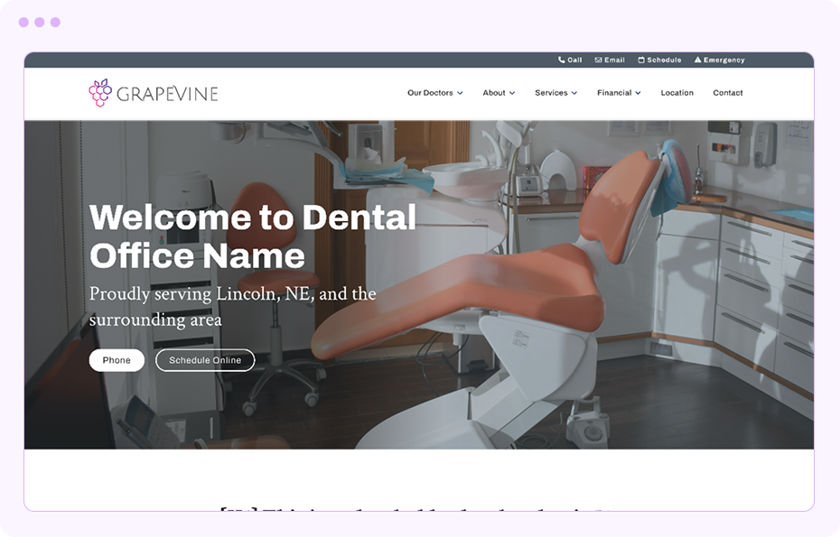 website theme example
